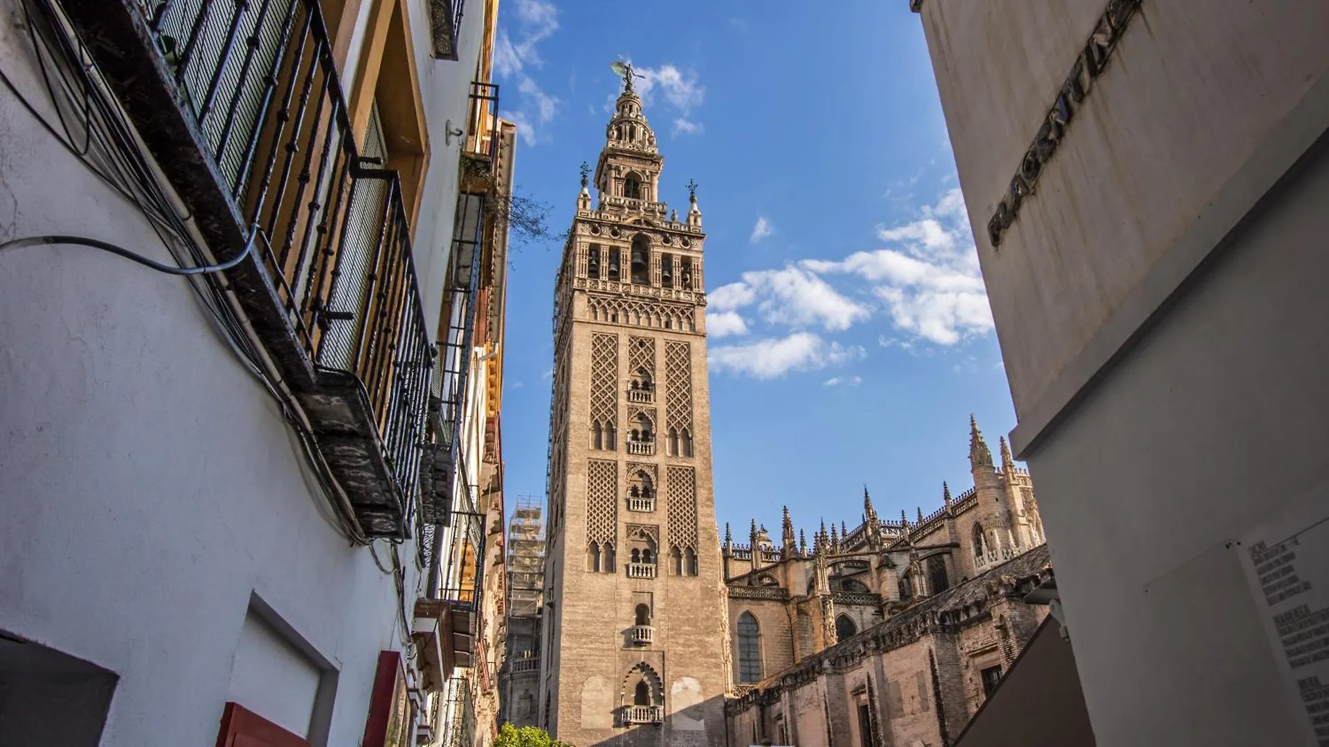 Apartment Encantador Apartamento A Un Paso De La Catedral Seville