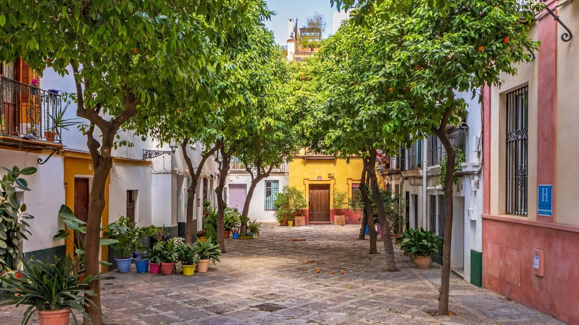 Encantador Apartamento A Un Paso De La Catedral Seville Spain